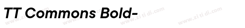 TT Commons Bold字体转换